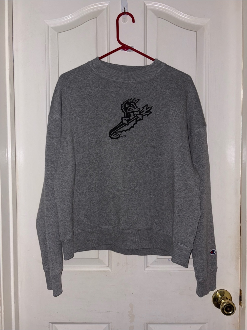 Norfolk Tides Cropped Champion Crewneck